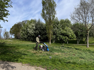 Først skal græsset klippes lidt ned – her er der brugt en “fingerklipper”.