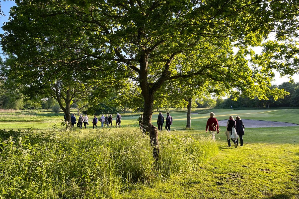 Aftentur på golfbanen i Gilleleje golfklub