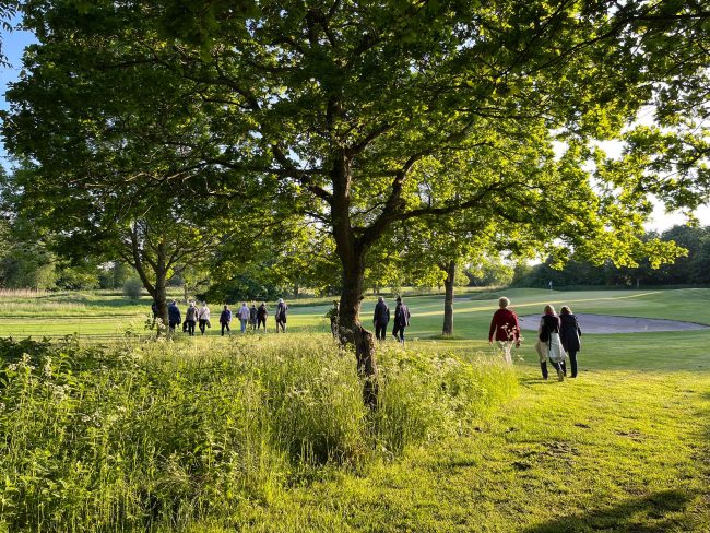 Aftentur IMG 0799 2560×1920 Aftentur på golfbanen i Gilleleje golfklub