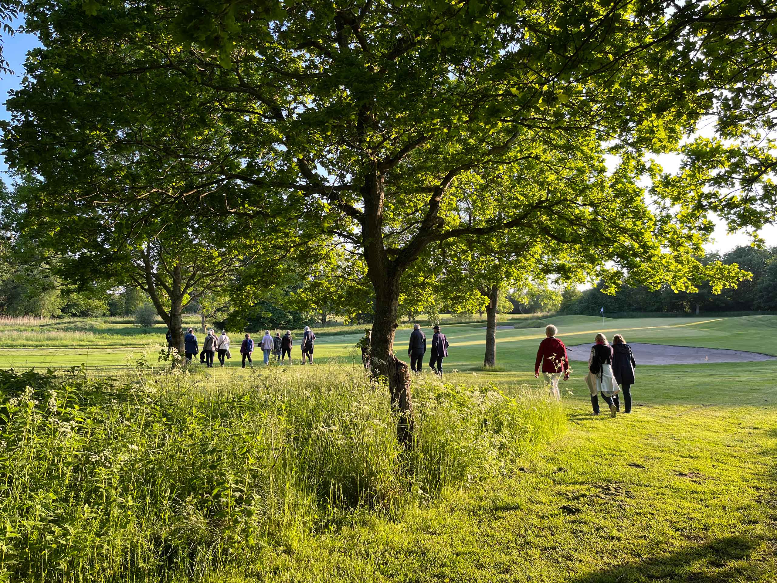 Aftentur på golfbanen i Gilleleje golfklub