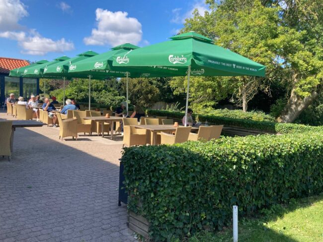 Efeu klippet på terrassen i GGK af de frivillige