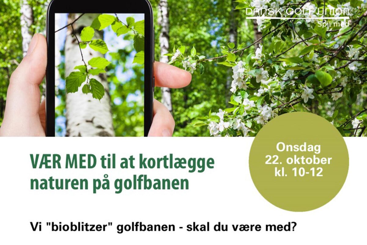 Bioblitz på golfbanen i Gilleleje Golfklub den 22. oktober 2025 fra 10-12