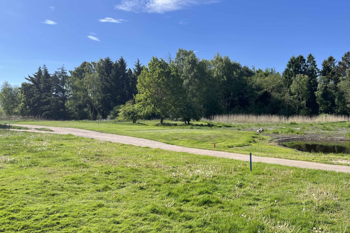 Teestederne set fra greensiden på det nye hul 7