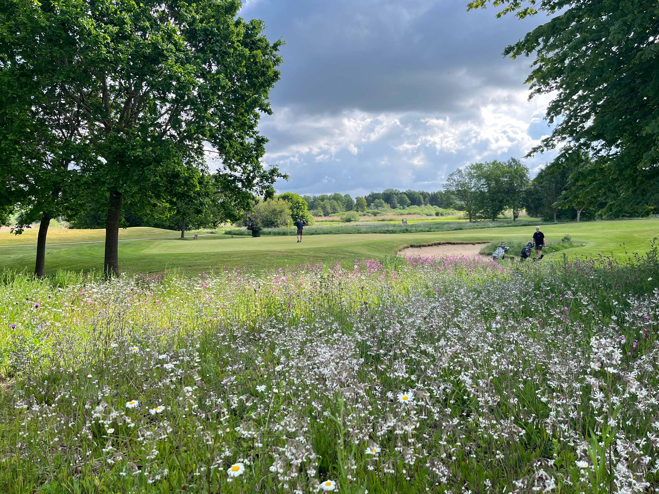 Biodiversitetsområde nr. 2 den 5. juni 2026